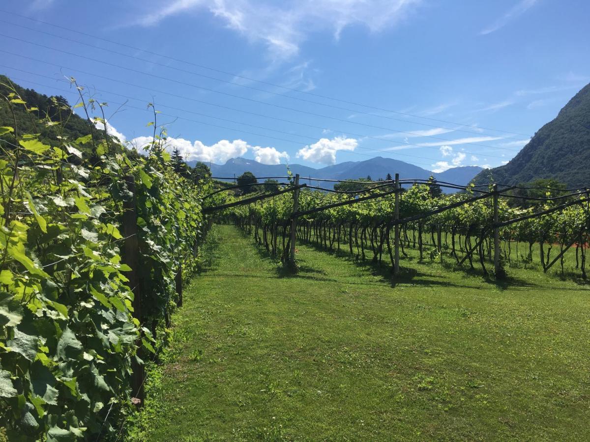 La Casa In Collina *