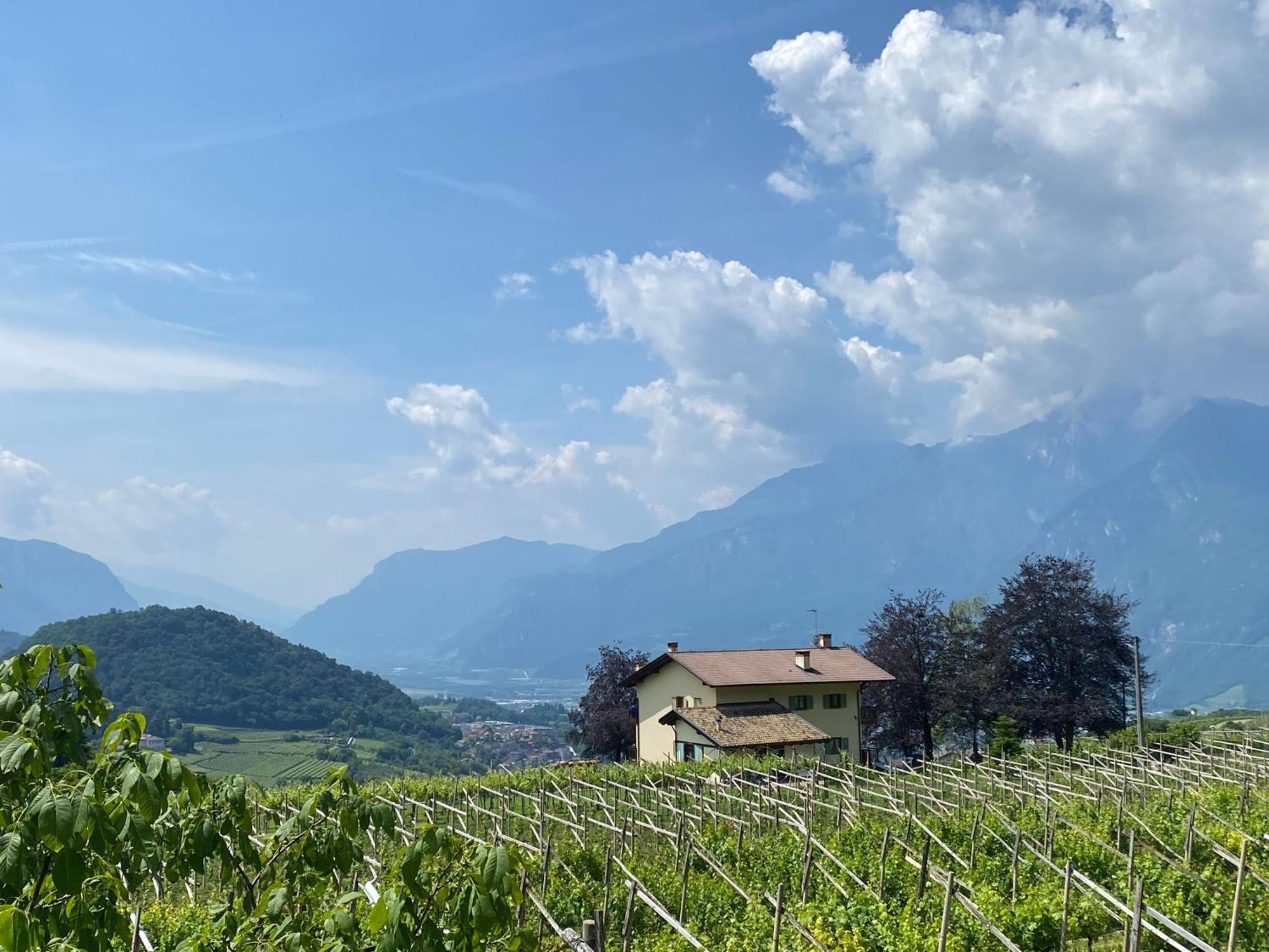 Marina “la Casa In Collina” * Trento